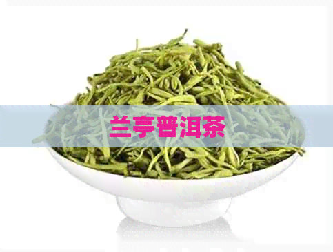 兰亭普洱茶