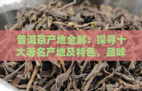 普洱茶产地全解：探寻十大著名产地及特色，品味茶叶的极致魅力