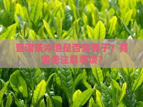 普洱茶冲泡是否需要子？有哪些注意事项？