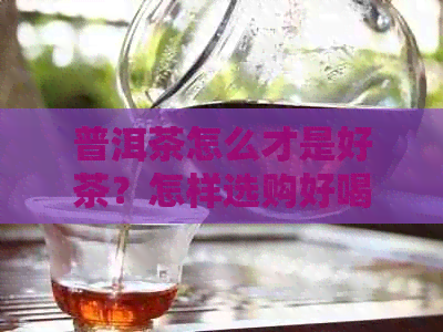 普洱茶怎么才是好茶？怎样选购好喝的普洱茶并品鉴？