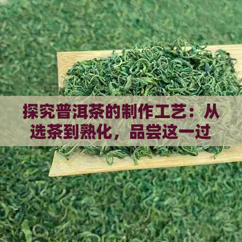 探究普洱茶的制作工艺：从选茶到熟化，品尝这一过程的魅力所在