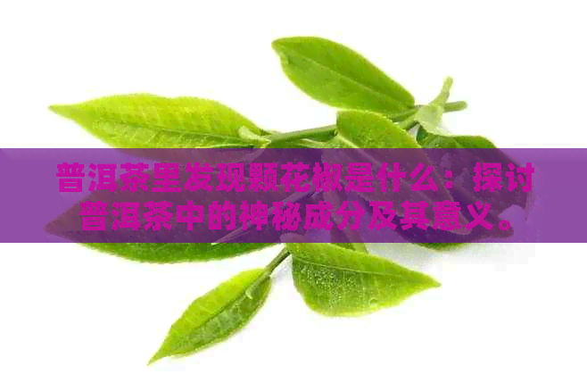 普洱茶里发现颗花椒是什么：探讨普洱茶中的神秘成分及其意义。