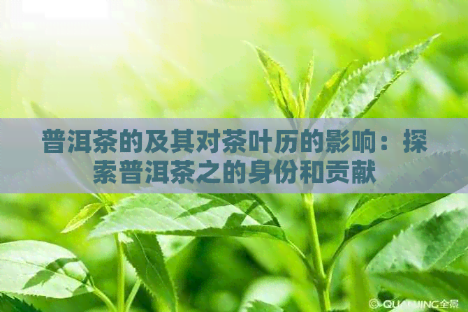 普洱茶的及其对茶叶历的影响：探索普洱茶之的身份和贡献