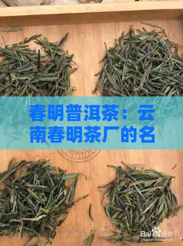 春明普洱茶：云南春明茶厂的名牌产品吗？