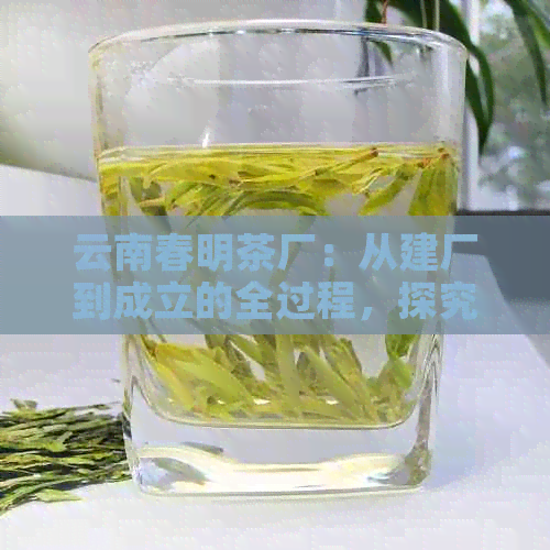 云南春明茶厂：从建厂到成立的全过程，探究其背后的故事与特色茶叶产品