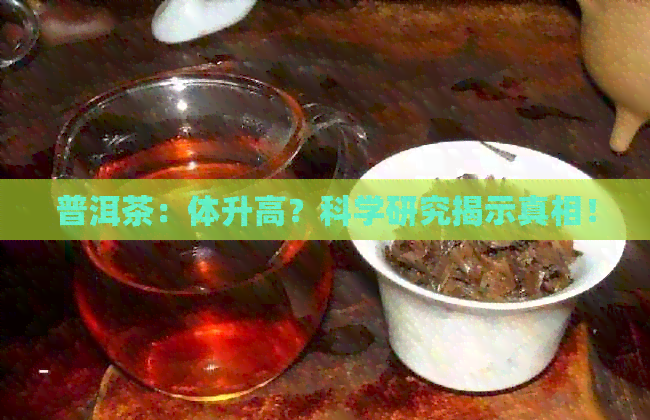 普洱茶：体升高？科学研究揭示真相！