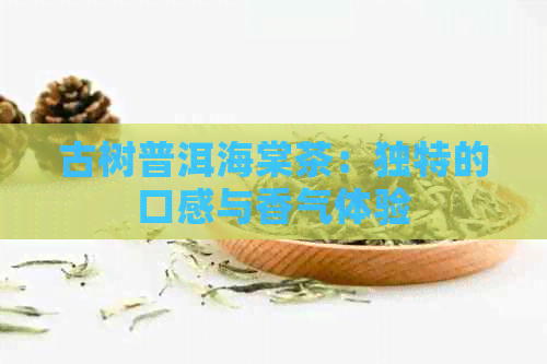 古树普洱海棠茶：独特的口感与香气体验