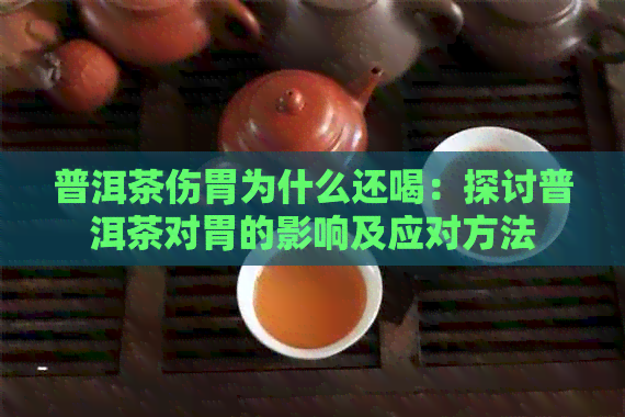 普洱茶伤胃为什么还喝：探讨普洱茶对胃的影响及应对方法