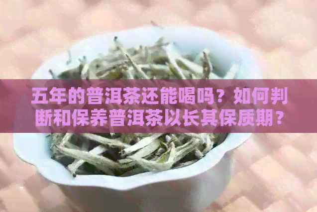 五年的普洱茶还能喝吗？如何判断和保养普洱茶以长其保质期？