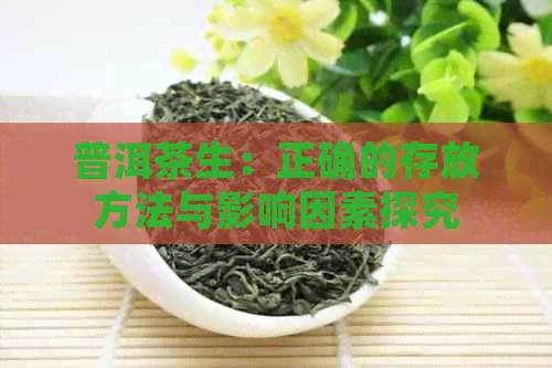 普洱茶生：正确的存放方法与影响因素探究