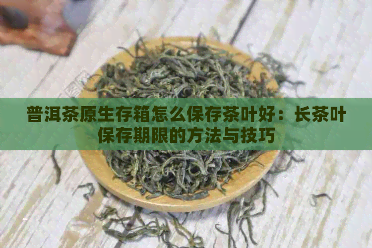 普洱茶原生存箱怎么保存茶叶好：长茶叶保存期限的方法与技巧