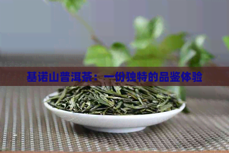 基诺山普洱茶：一份独特的品鉴体验