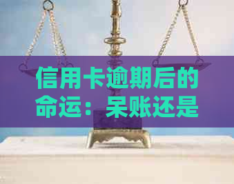 信用卡逾期后的命运：呆账还是清零？了解逾期处理流程和后果，避免信用受损