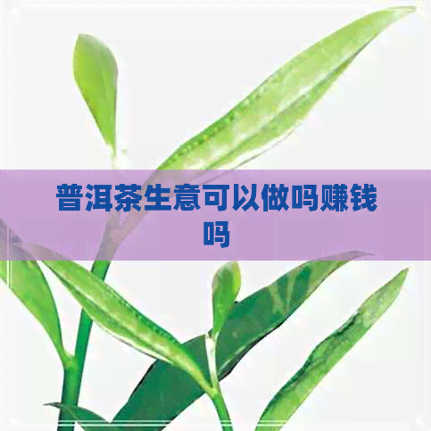 普洱茶生意可以做吗赚钱吗