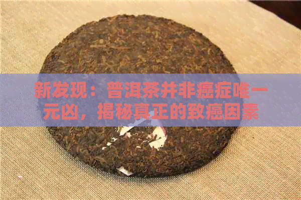 新发现：普洱茶并非癌症唯一元凶，揭秘真正的致癌因素