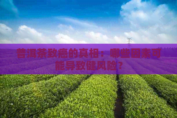 普洱茶致癌的真相：哪些因素可能导致健风险？