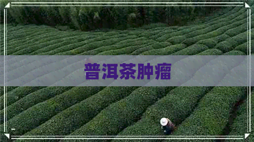 普洱茶肿瘤