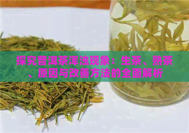 探究普洱茶浑浊现象：生茶、熟茶、原因与改善方法的全面解析