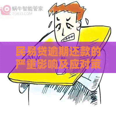 民易贷逾期还款的严重影响及应对策略