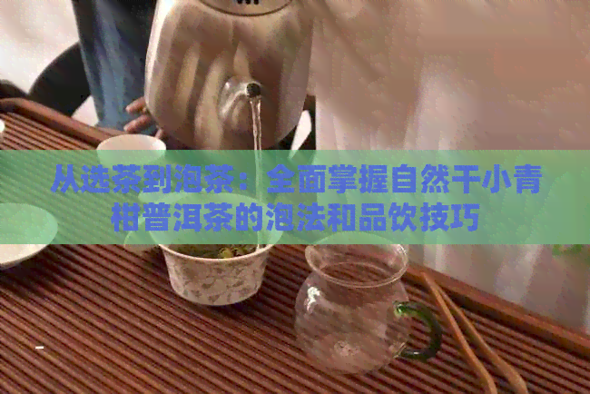 从选茶到泡茶：全面掌握自然干小青柑普洱茶的泡法和品饮技巧