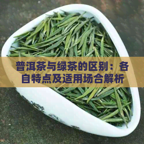 普洱茶与绿茶的区别：各自特点及适用场合解析