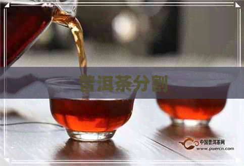 普洱茶分割