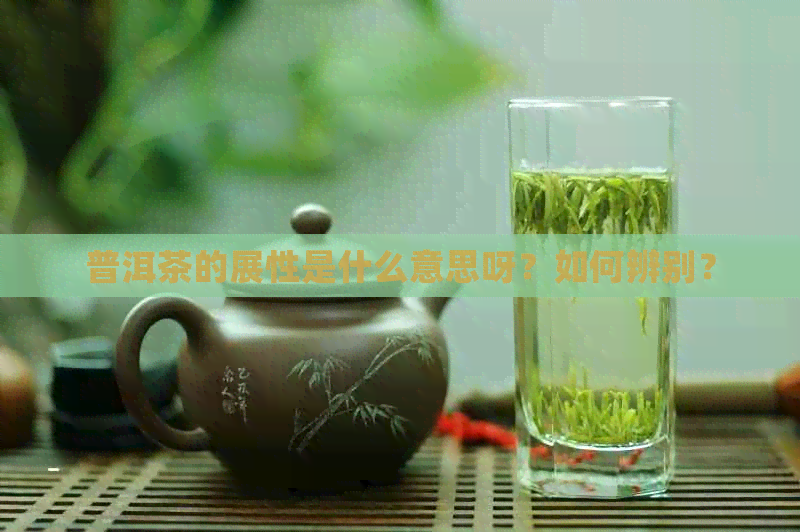 普洱茶的展性是什么意思呀？如何辨别？