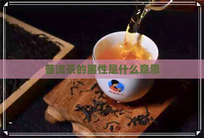 普洱茶的展性是什么意思