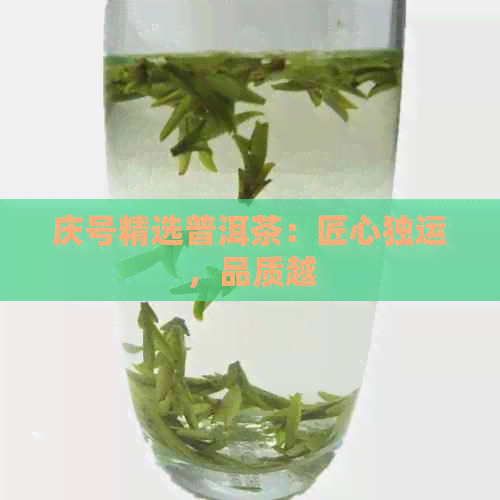 庆号精选普洱茶：匠心独运，品质越