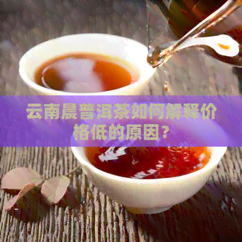 云南晨普洱茶如何解释价格低的原因？