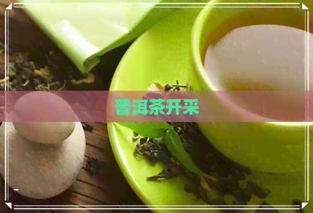 普洱茶开采