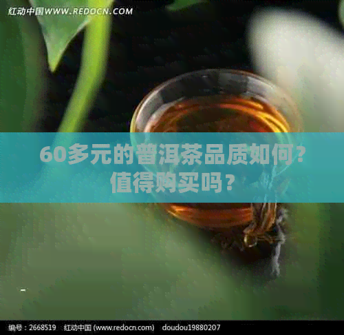 60多元的普洱茶品质如何？值得购买吗？