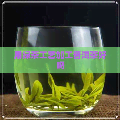 用绿茶工艺加工普洱茶好吗