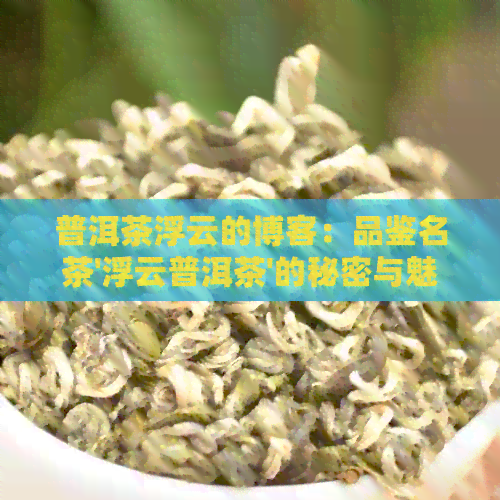 普洱茶浮云的博客：品鉴名茶'浮云普洱茶'的秘密与魅力