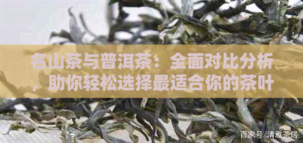 名山茶与普洱茶：全面对比分析，助你轻松选择最适合你的茶叶