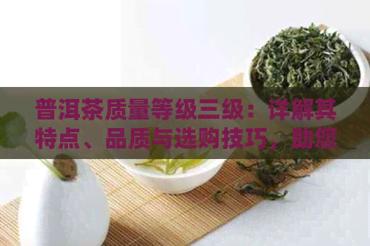 普洱茶质量等级三级：详解其特点、品质与选购技巧，助您轻松挑选优质茶叶