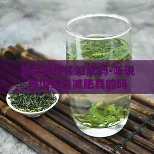 普普洱茶能减肥吗-听说普洱茶能减肥真的吗