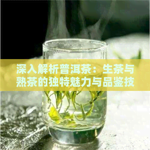 深入解析普洱茶：生茶与熟茶的独特魅力与品鉴技巧