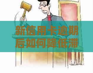 新信用卡逾期后如何降低滞纳金成本？