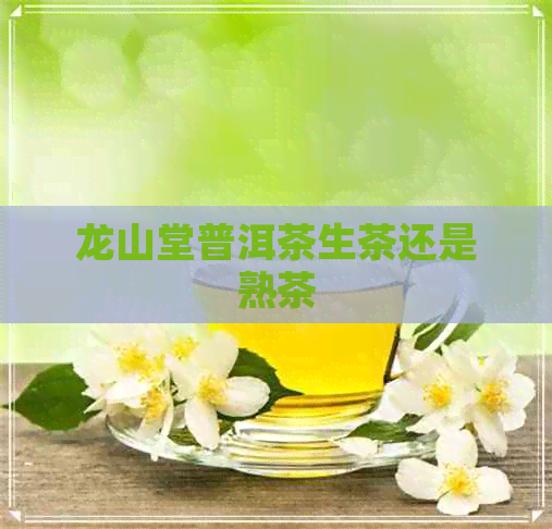 龙山堂普洱茶生茶还是熟茶