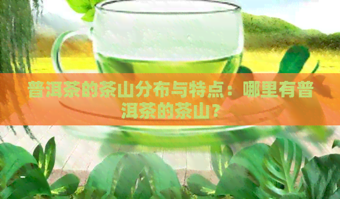 普洱茶的茶山分布与特点：哪里有普洱茶的茶山？