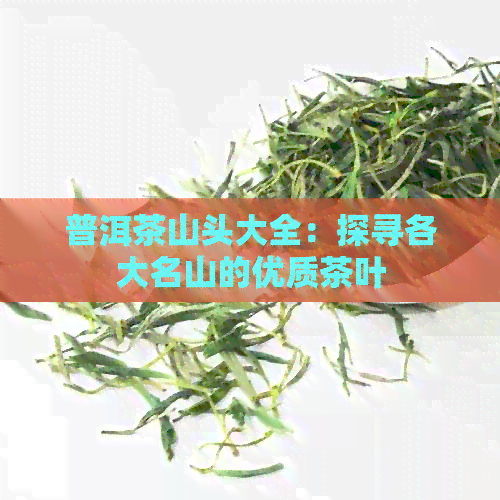 普洱茶山头大全：探寻各大名山的优质茶叶