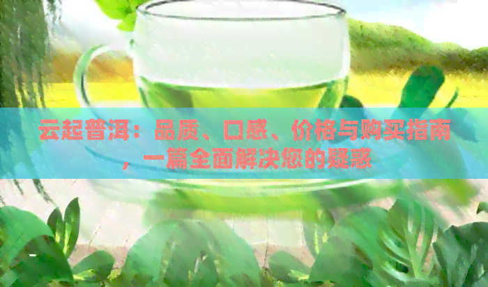 云起普洱：品质、口感、价格与购买指南，一篇全面解决您的疑惑