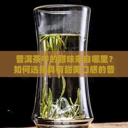 普洱茶中的甜味来自哪里？如何选择具有甜美口感的普洱茶品种？