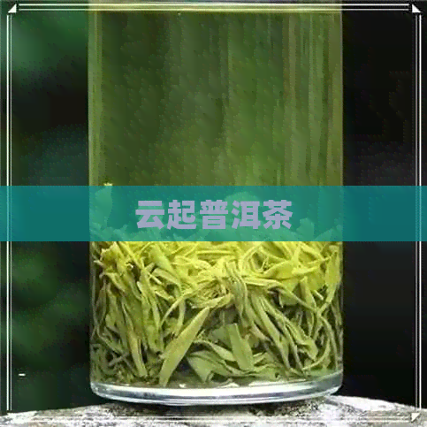 云起普洱茶