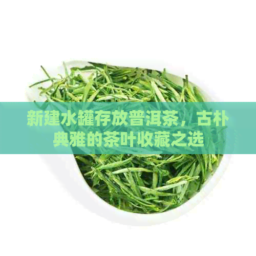 新建水罐存放普洱茶，古朴典雅的茶叶收藏之选