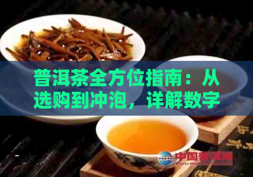 普洱茶全方位指南：从选购到冲泡，详解数字型茶叶知识与品鉴技巧