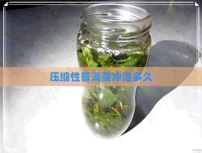 压缩性普洱茶冲泡多久