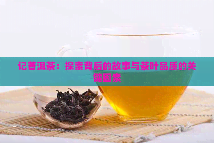 记普洱茶：探索背后的故事与茶叶品质的关键因素