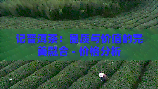 记普洱茶：品质与价值的完美融合 - 价格分析